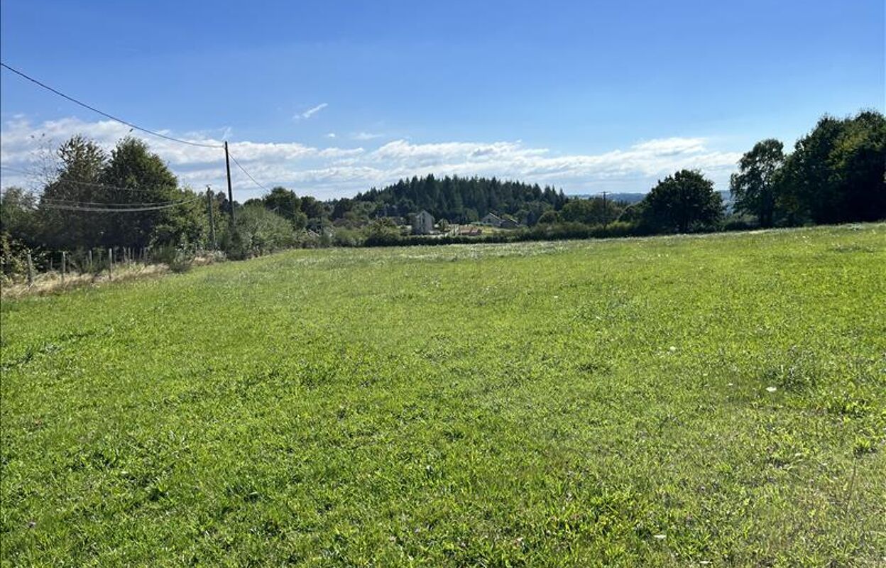 terrain  pièces 11210 m2 à vendre à Saint-Julien-le-Pèlerin (19430)