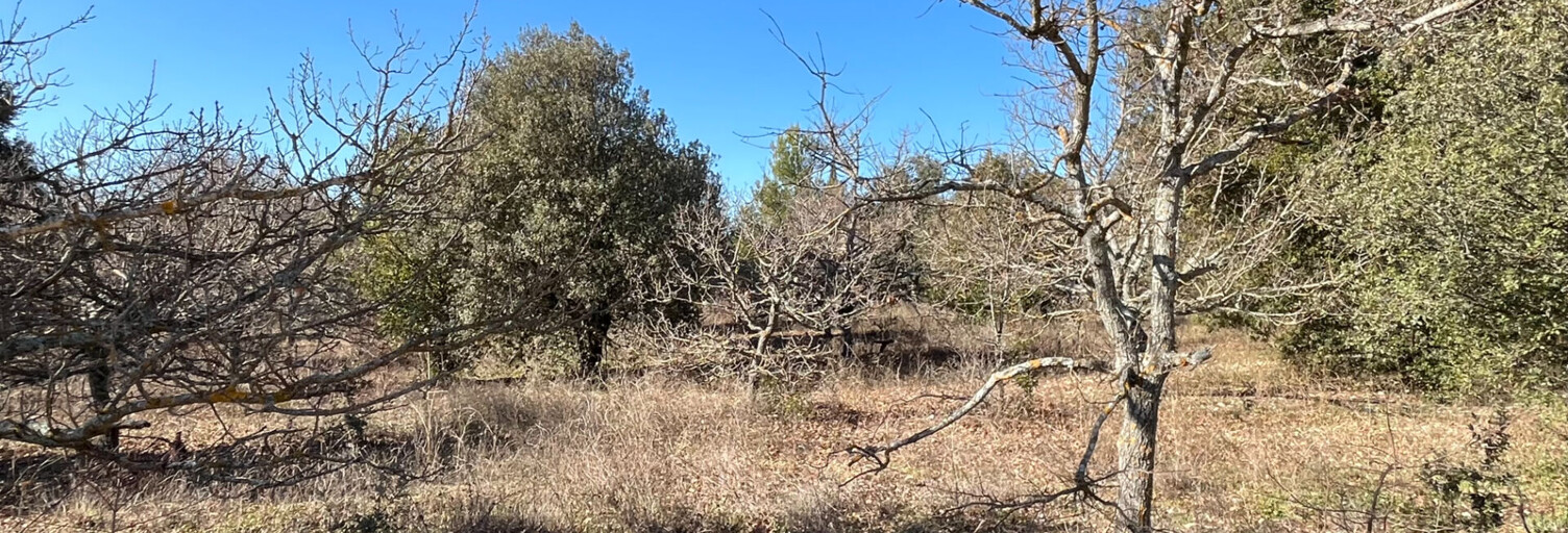 Terrain  1117 m² à vendre à Rustrel (84400)