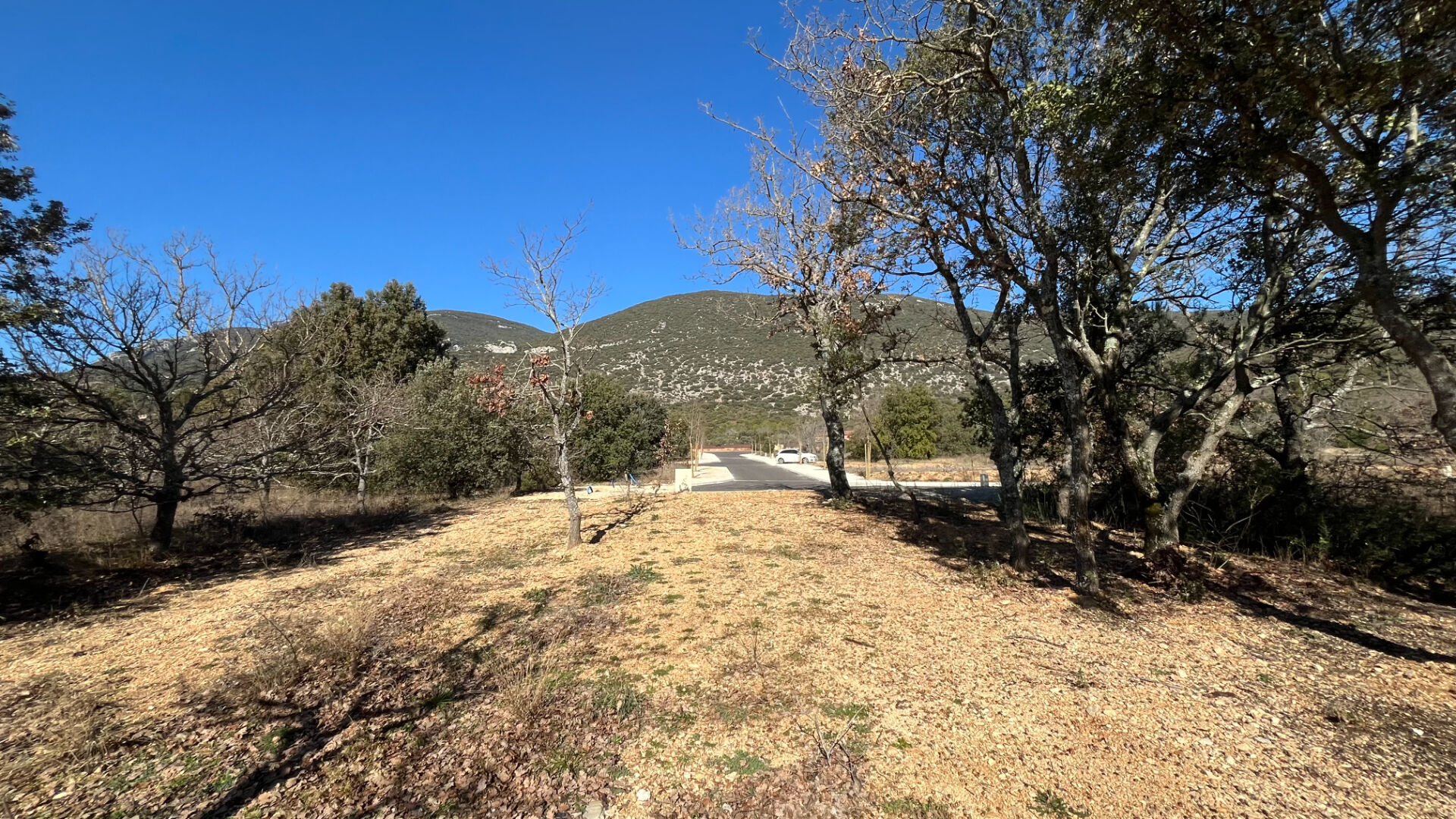 Terrain Rustrel 1117 m2