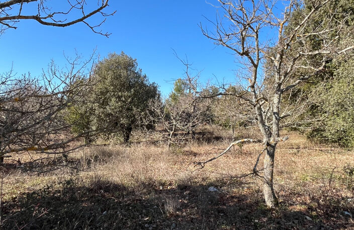 Terrain Rustrel 1117 m2 — photo 5