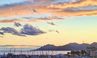 Appartement 4 Pièces 100 m² à vendre à Cannes (06400)