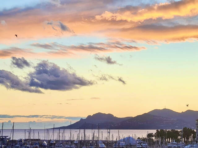 CANNES CENTRE PENTHOUSE T4 DE 100M2 VUE MER FACE PALAIS — photo du bien