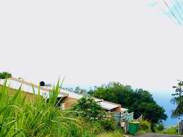 Maisons à vendre Petite-île — photo du bien