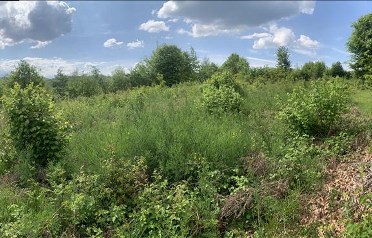 terrain  pièces 2257 m2 à vendre à Albussac (19380)