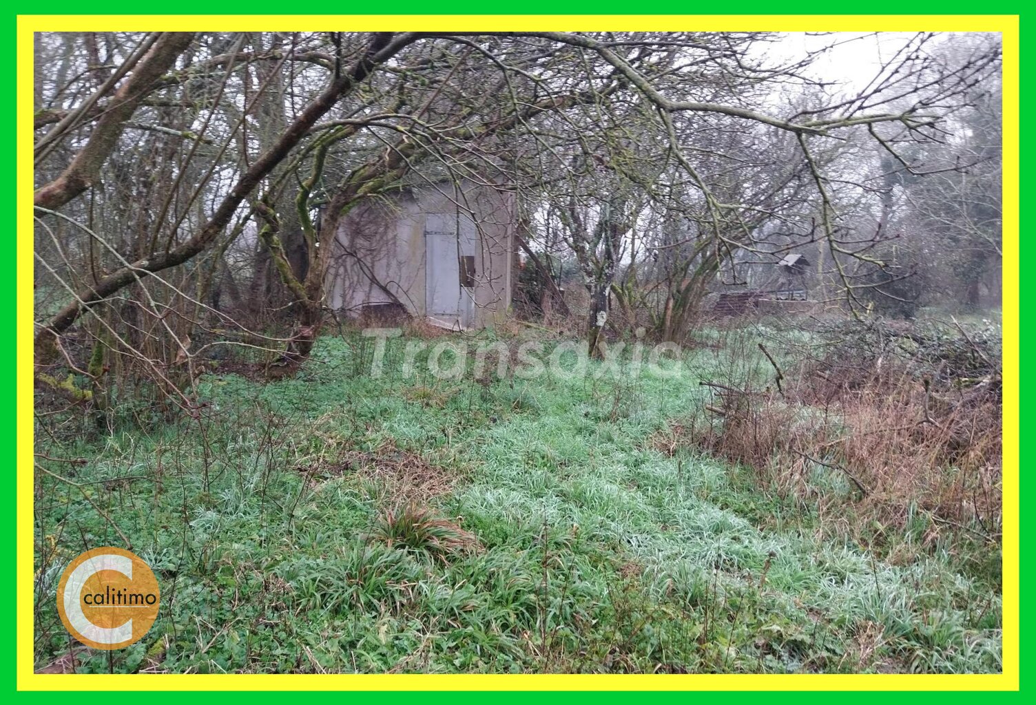 TERRAIN — photo 1