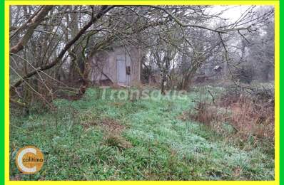 TERRAIN — photo du bien