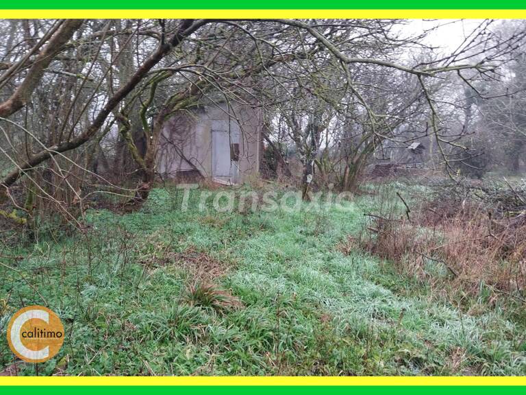 TERRAIN — photo 1