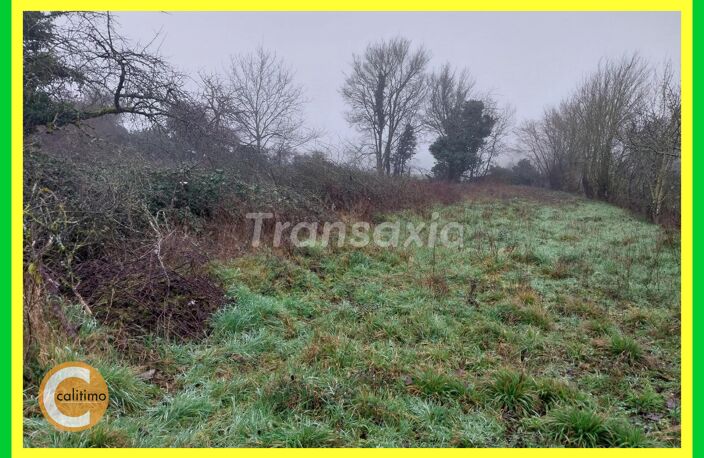 TERRAIN — photo 2