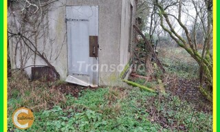 Photo N° 4