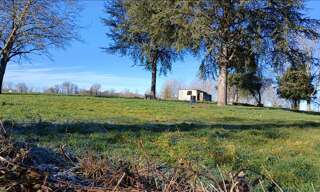 Maison 10 Pièces 285 m² à vendre à Séreilhac (87620)