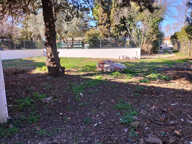 Saint André de Sangonis. Bâtiment sur 640m2 de jardin — photo 2