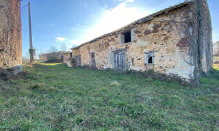 Photo N° 5
