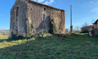 Photo N° 6