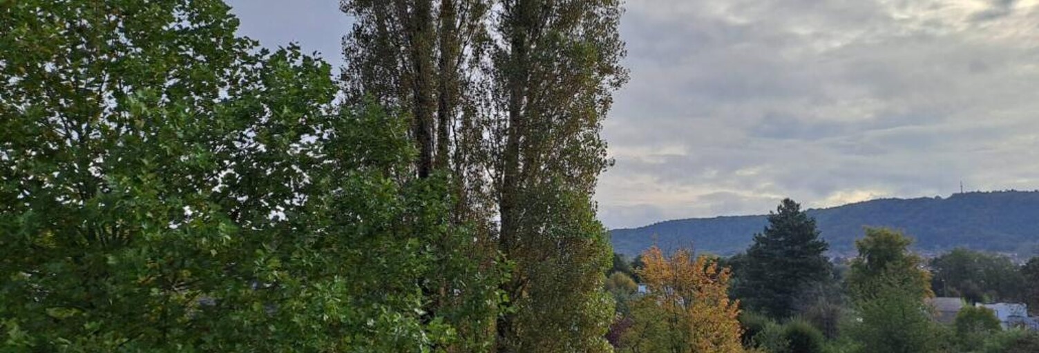 Appartement 4 Pièces 73 m² à louer à Forbach (57600)