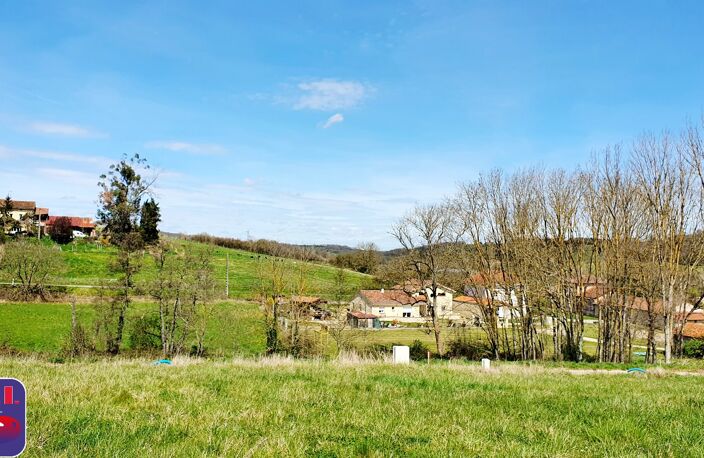 Vente terrain  701 m² Saverdun (09700) — photo 2