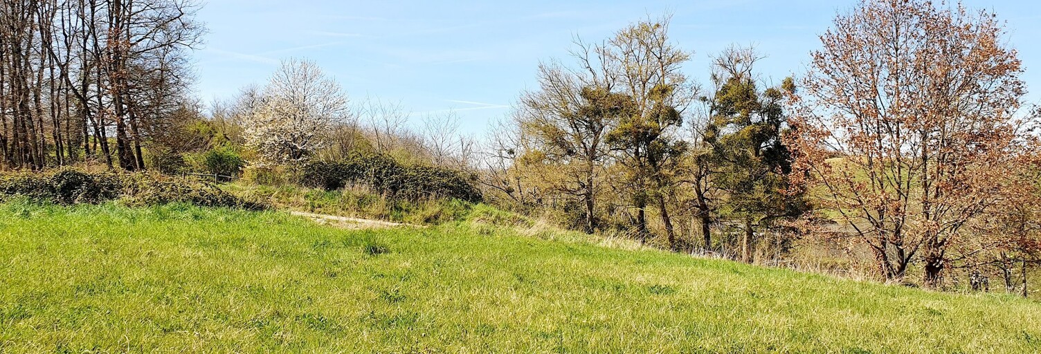 Terrain  781 m² à vendre à Saverdun (09700)