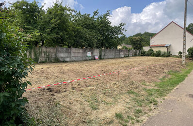 vente terrain 21 000 € à proximité de Chemilly-sur-Yonne (89250)