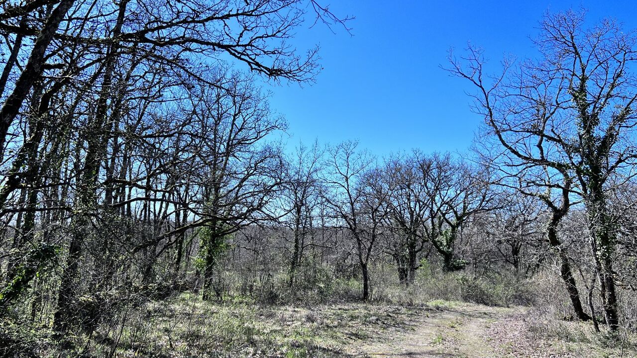 terrain  pièces 38987 m2 à vendre à Figeac (46100)