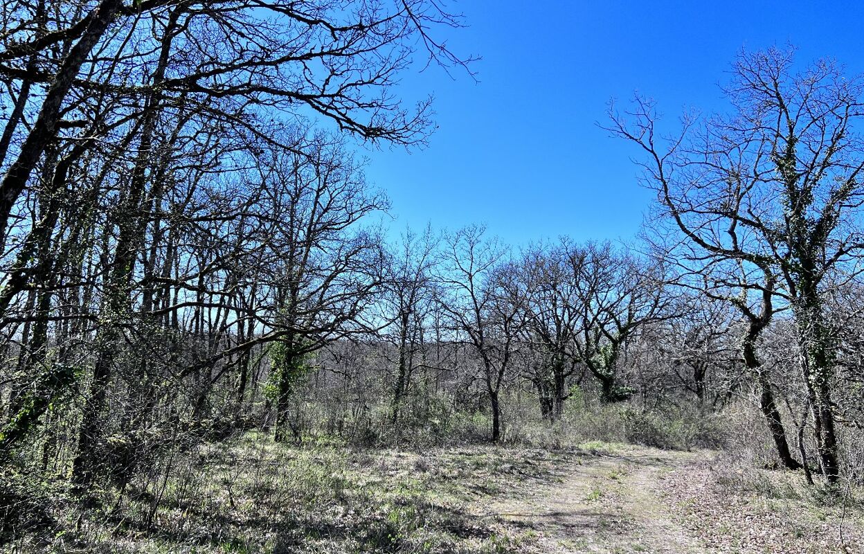 terrain  pièces 38987 m2 à vendre à Figeac (46100)