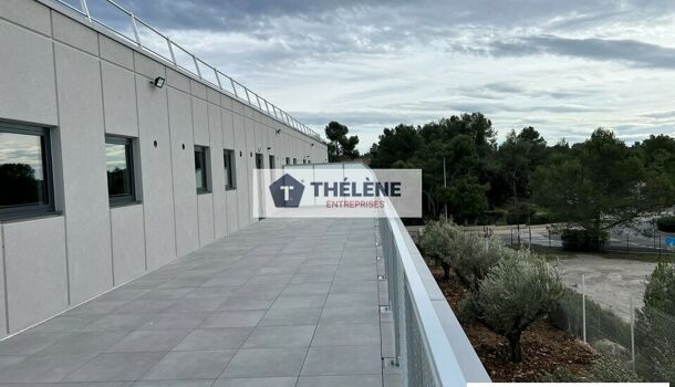 Bureau  à louer Saint-Clément-de-Rivière 34980