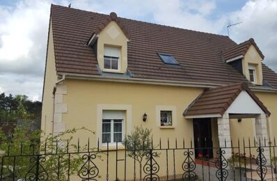vente maison 237 600 € à proximité de Ouzouer-le-Doyen (41160)