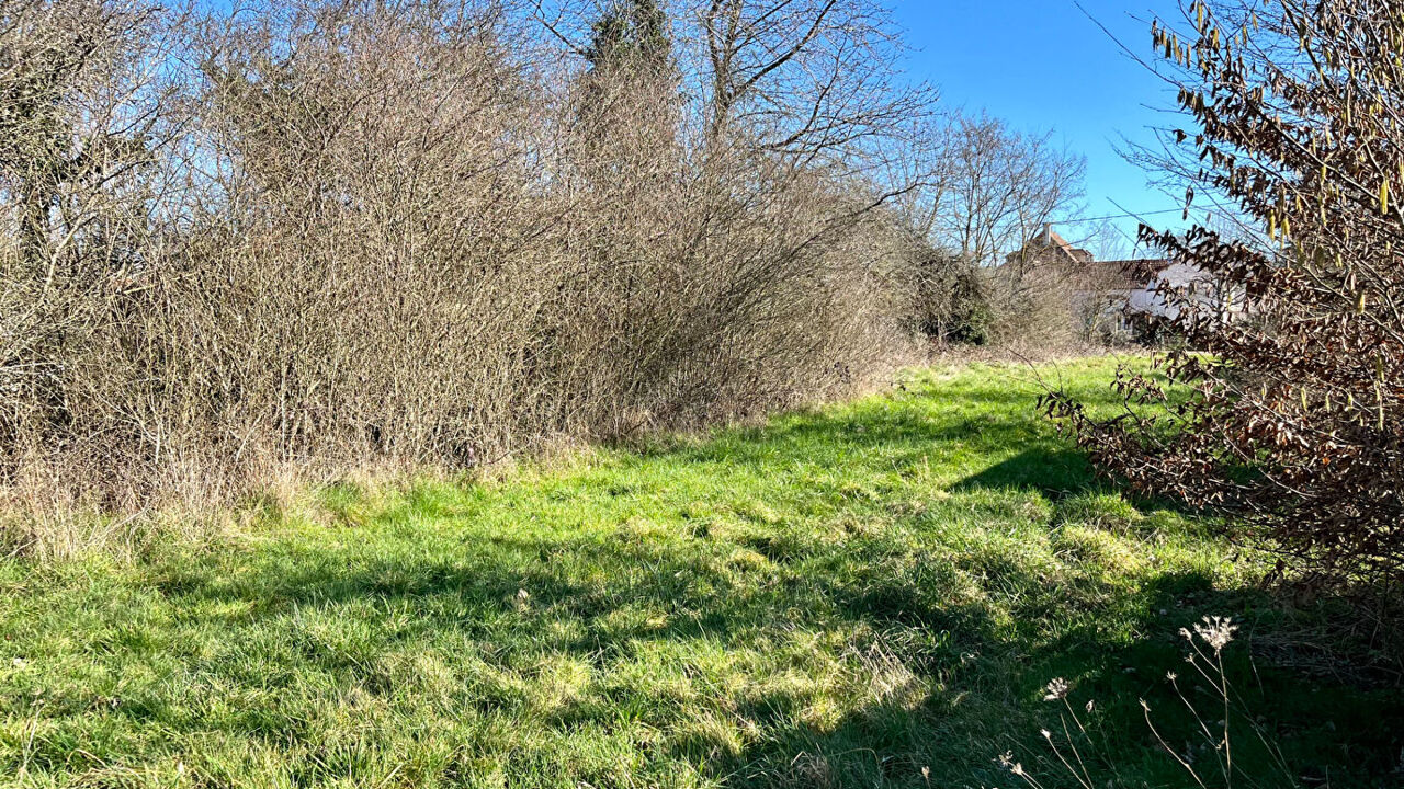 terrain  pièces 1229 m2 à vendre à Villefargeau (89240)