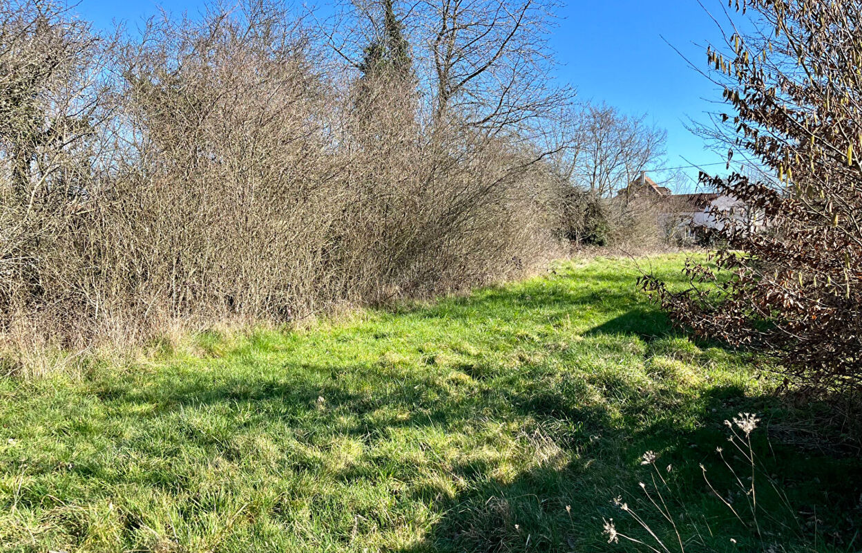 terrain  pièces 1229 m2 à vendre à Villefargeau (89240)