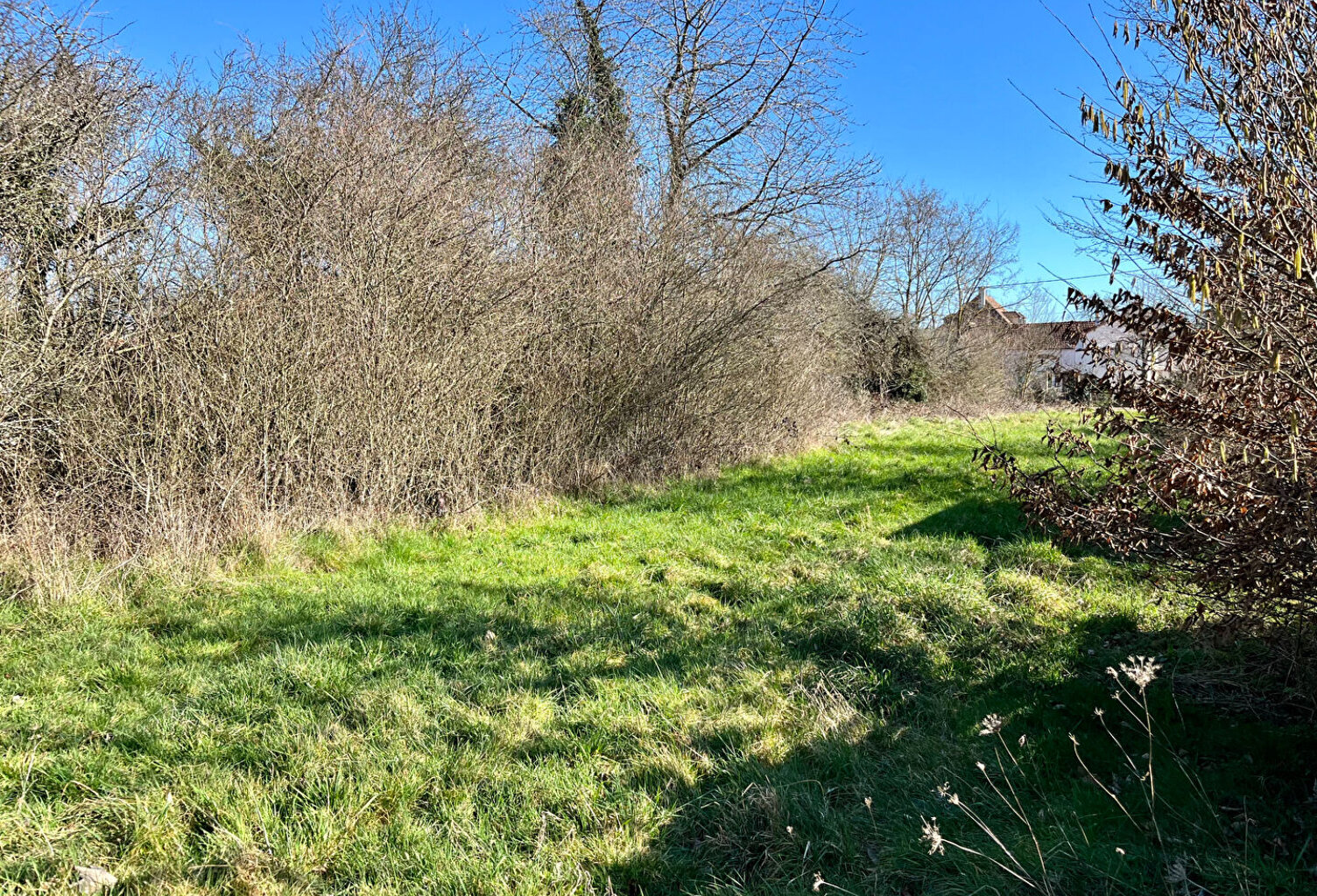7 km Auxerre terr 1229 m2 — photo 1