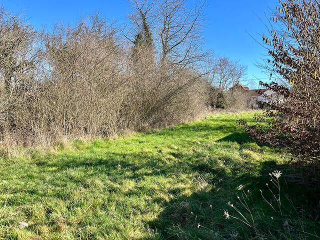 7 km Auxerre terr 1229 m2 — photo du bien