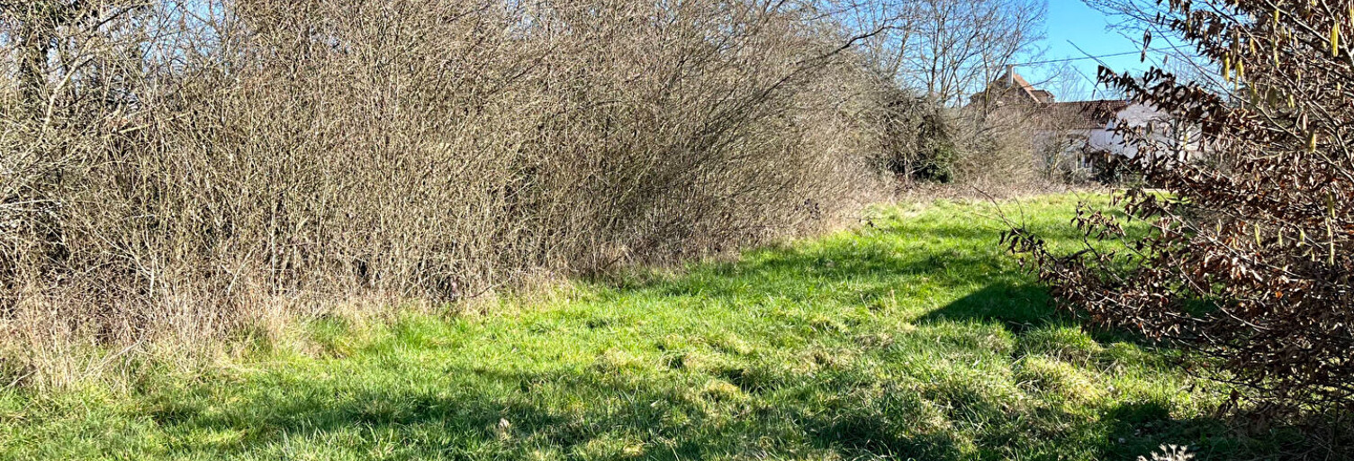 Terrain  1229 m² à vendre à Villefargeau (89240)