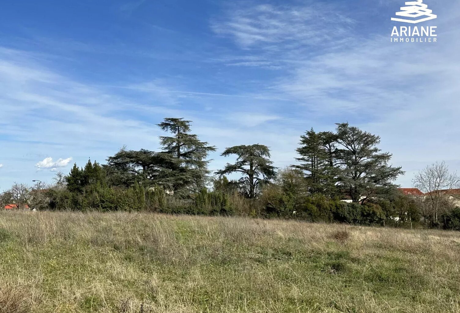 Terrain à bâtir viabilisé libre constructeur — photo 1