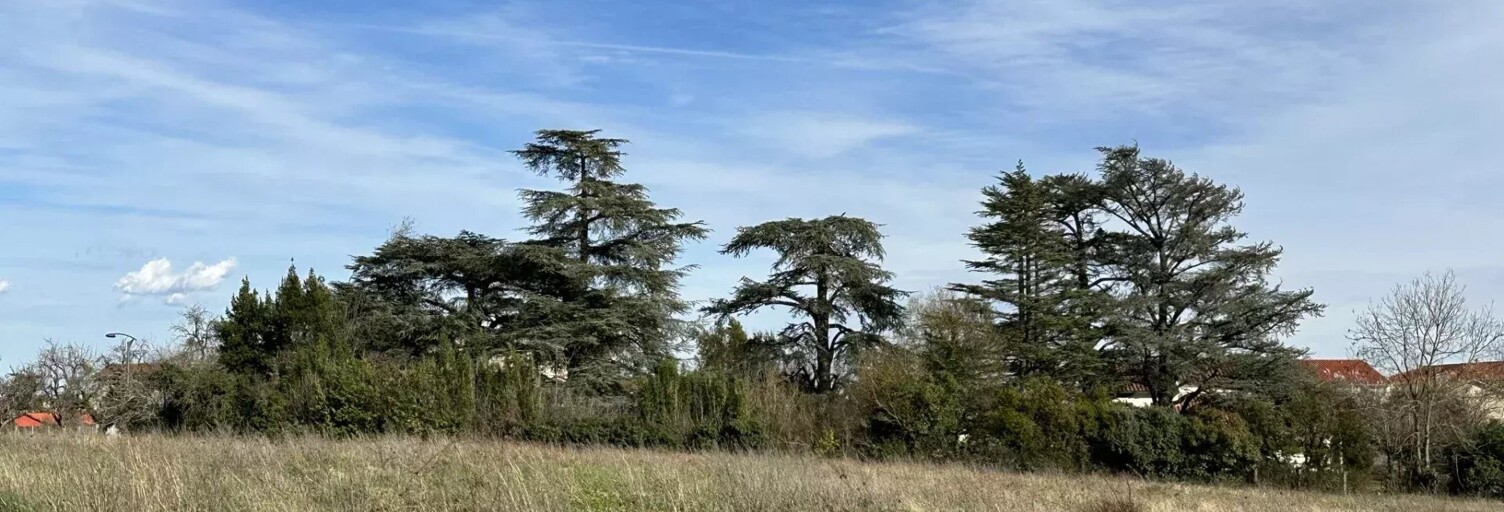 Terrain  291 m² à vendre à Brindas (69126)