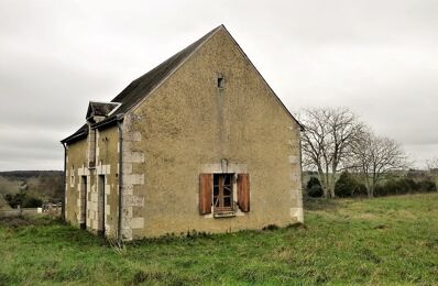 vente maison 231 000 € à proximité de Écueillé (36240)
