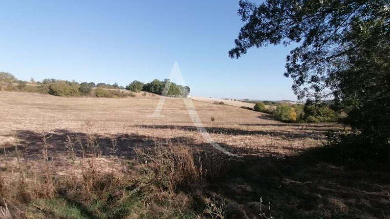 terrain  pièces 1294 m2 à vendre à Albi (81000)