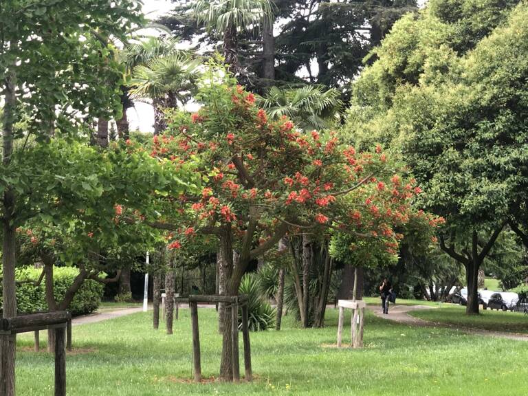 4 Pièces vue dégagée verdure — photo 1