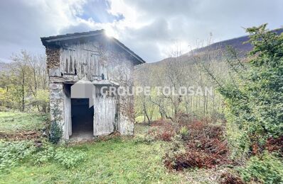 vente maison 50 000 € à proximité de Bramevaque (65370)