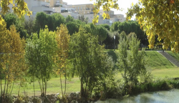 Appartement 2 pièces  à vendre Montpellier 34000