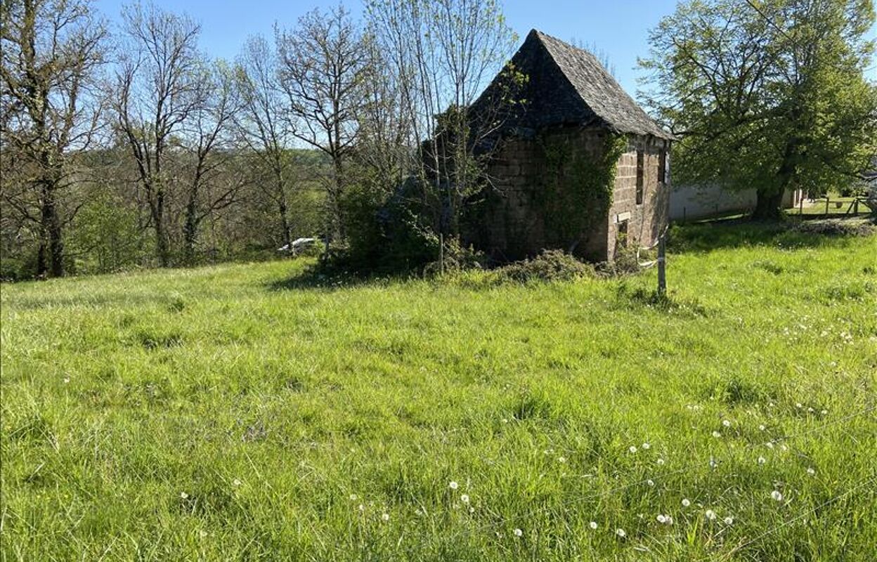 terrain  pièces 1424 m2 à vendre à Saint-Cyr-la-Roche (19130)