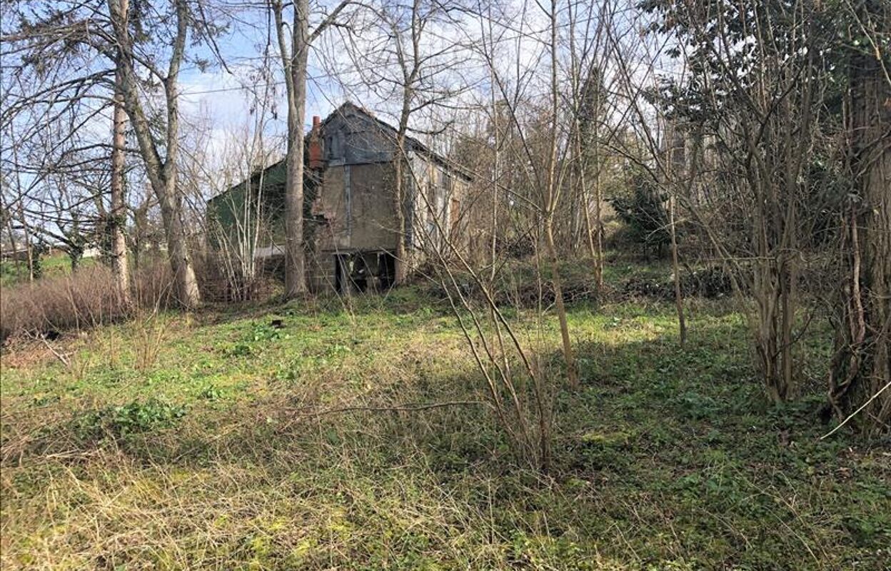 terrain  pièces 1030 m2 à vendre à Veuzain-sur-Loire (41150)