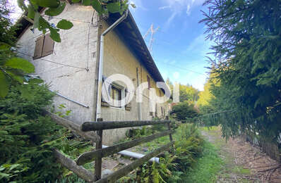 vente maison 99 000 € à proximité de Ban-sur-Meurthe-Clefcy (88230)