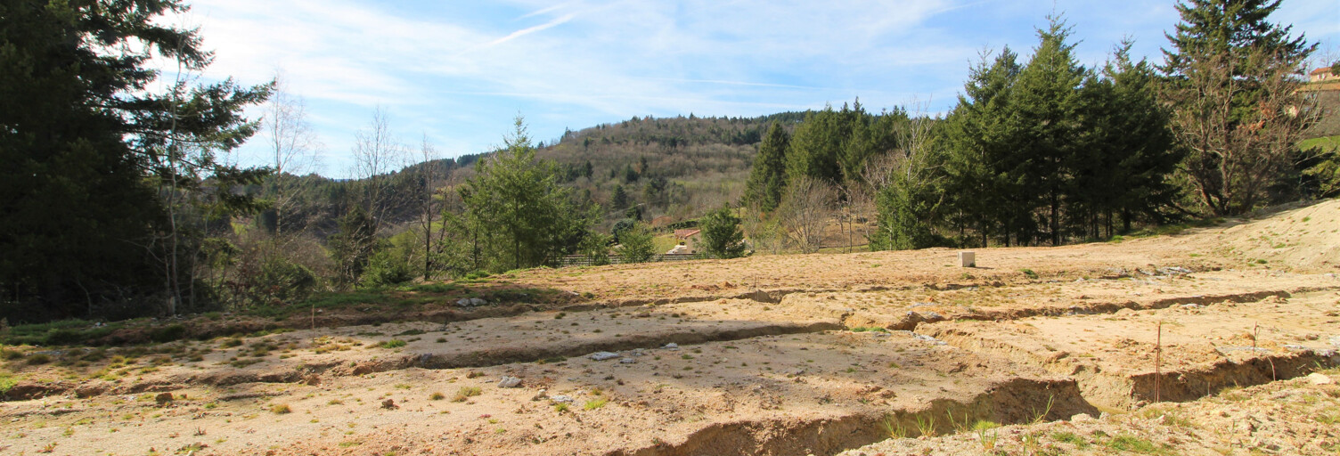 Terrain  2600 m² à vendre à Saint-Haon-le-Vieux (42370)