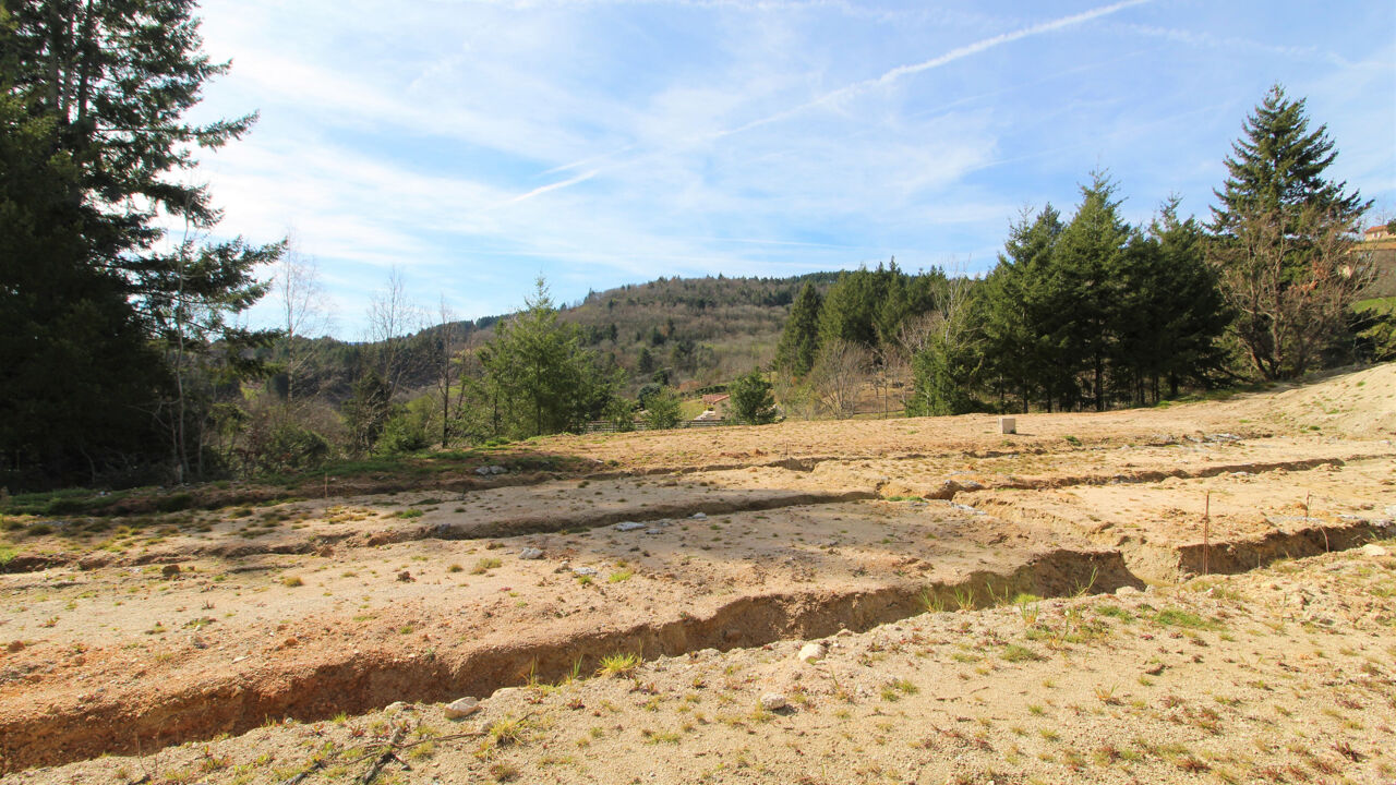 terrain  pièces 2600 m2 à vendre à Saint-Haon-le-Vieux (42370)