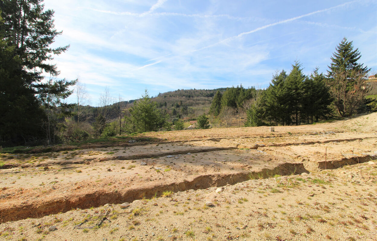 terrain  pièces 2600 m2 à vendre à Saint-Haon-le-Vieux (42370)