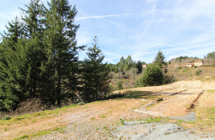 COTE ROANNAISE, — photo 2