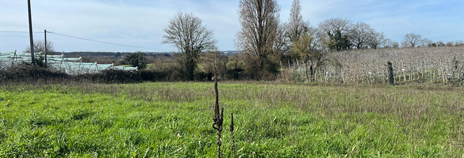 Terrain  1550 m² à vendre à Carquefou (44470)