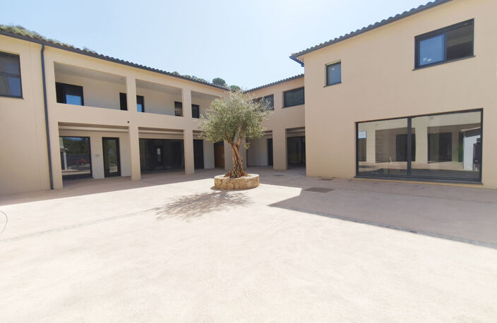 MURS COMMERCIAUX 62 m2 - LOT 2 -  PORTICCIO — photo 2