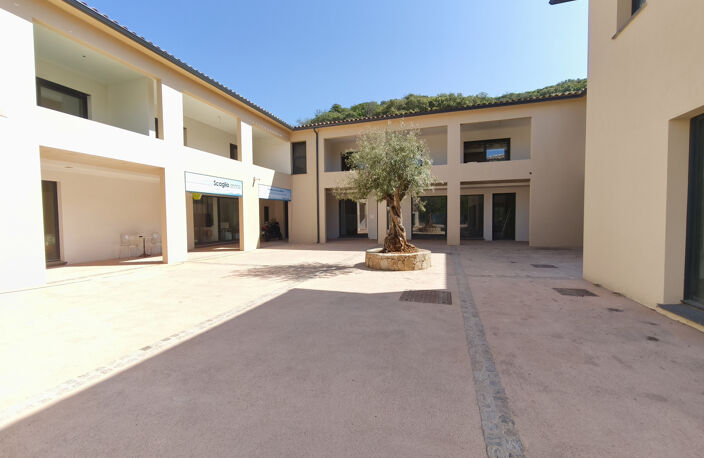 MURS COMMERCIAUX 62 m2 - LOT 2 -  PORTICCIO — photo 3