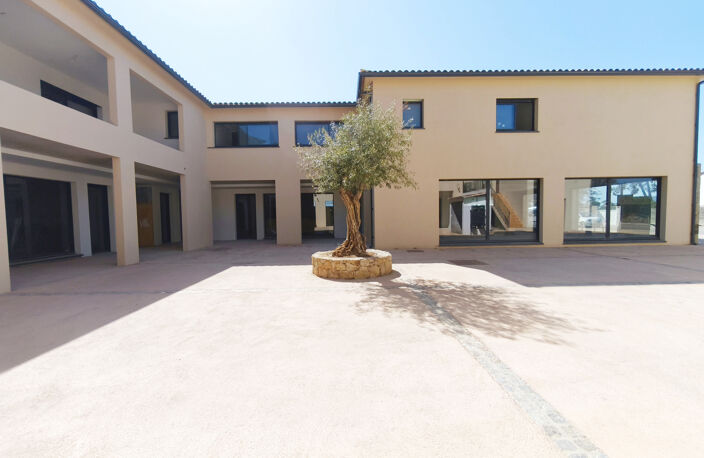 MURS COMMERCIAUX 62 m2 - LOT 2 -  PORTICCIO — photo 4