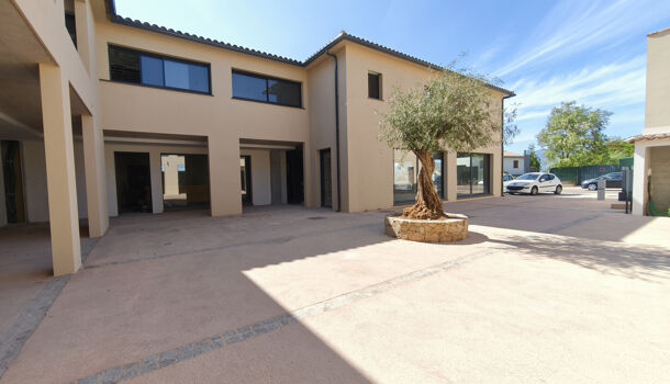 Local commercial  à vendre Porticcio 20166