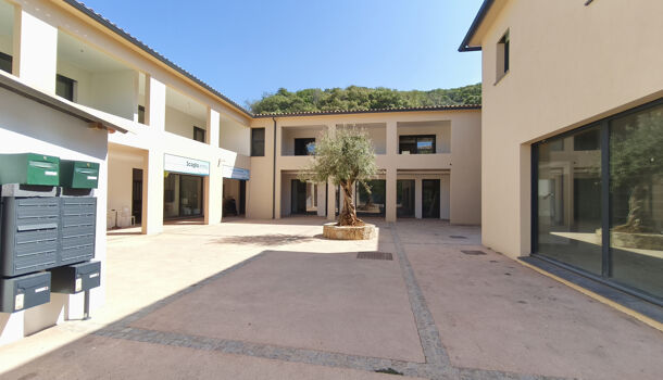 Local commercial  à vendre Porticcio 20166